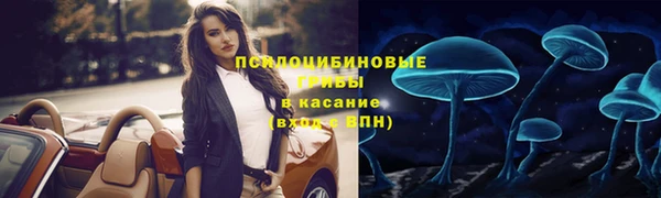 мдпв Медвежьегорск