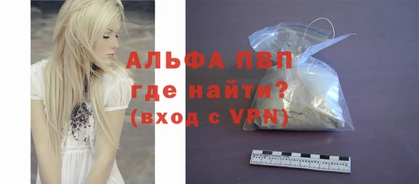 стаф Медногорск