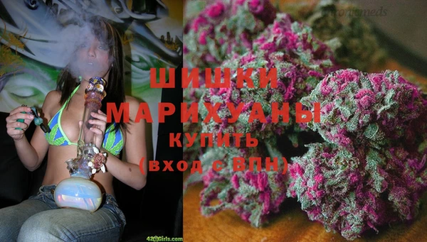стаф Медногорск