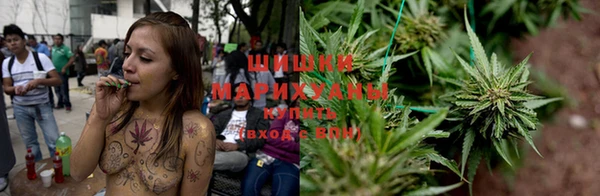 стаф Медногорск
